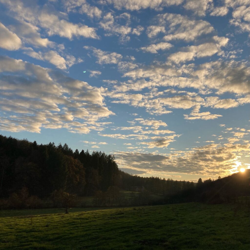 Reserveruneambulance.com Taxi Jeanneret Maud